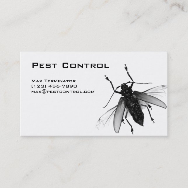 Mosca de la tarjeta de visita del control de (Anverso)