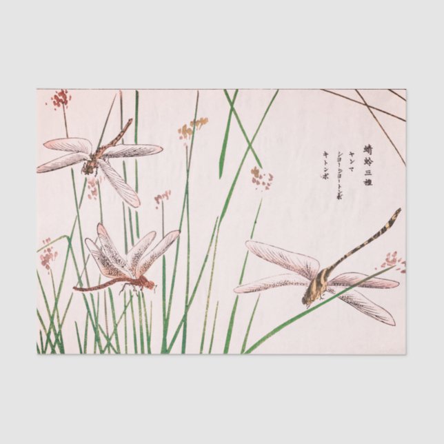 MOSCA del DRAGÓN CON el papel seda de la HIERBA (Anverso)