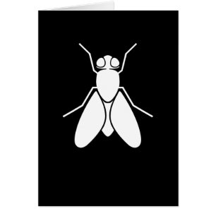 Mosca del vinagre