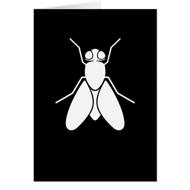 Mosca del vinagre (Frente)