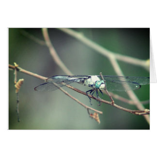 Mosca experimental del dragón del helicóptero