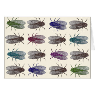 Moscas/moscas del vinagre de la enciclopedia de