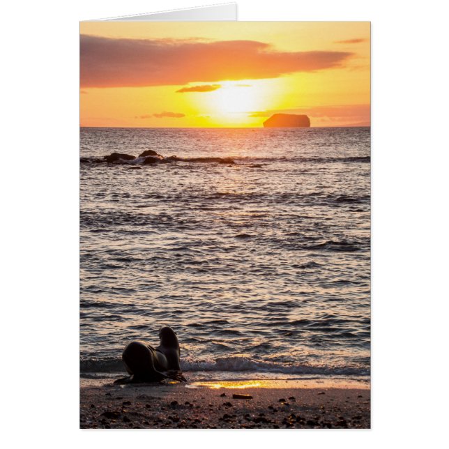 Mosquera Islet Sunset (Frente)