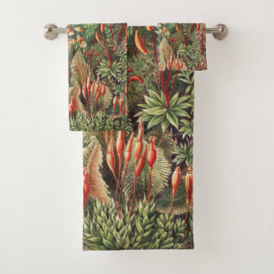 Mosses, muscinae Laubmoose por Ernst Haeckel
