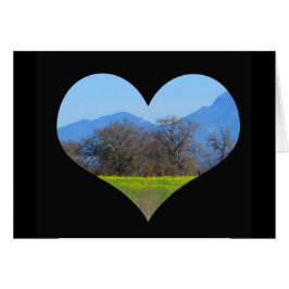 Mostaza que florece en la primavera el condado de