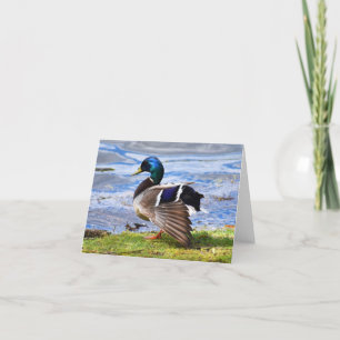 Mostrar fuera (Mallard #1) - Tarjeta de nota en bl