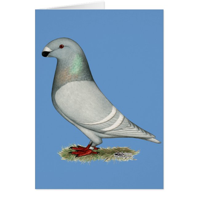 Mostrar Hen de Concepto Racer (Frente)