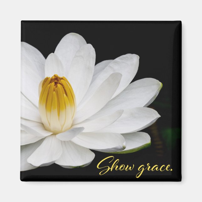 Mostrar imán de gracia (Frente)