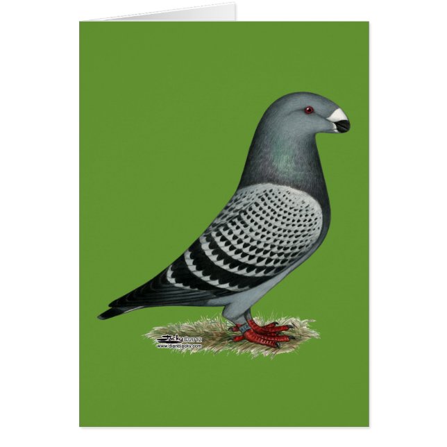 Mostrar la luz del indicador (Frente)