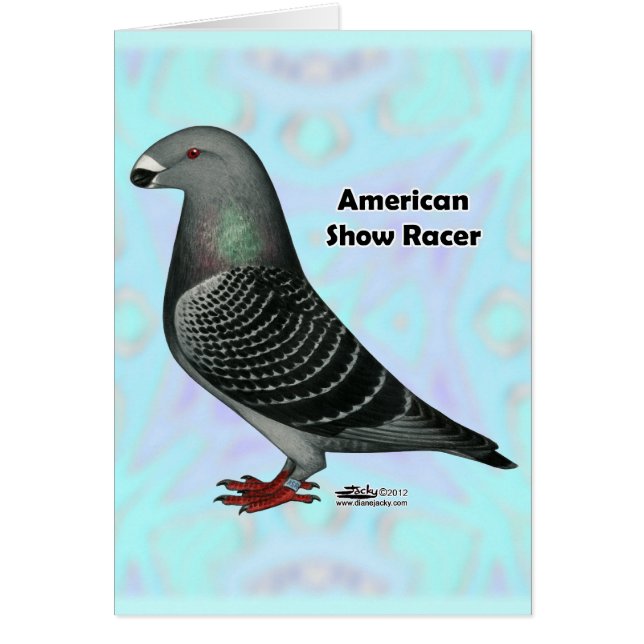 Mostrar Racer ASR (Frente)