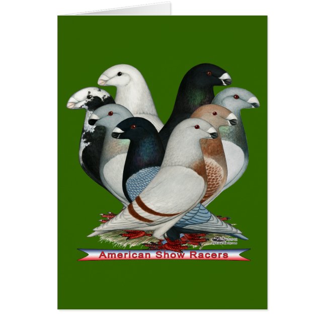 Mostrar Racers Ocho (Frente)