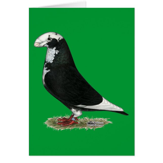 Mostrar tubería de raquiador (Frente)