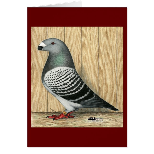 Mostrar verificador medio de marcadores (Frente)