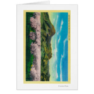 Motas y huertas de Sutter en la floración