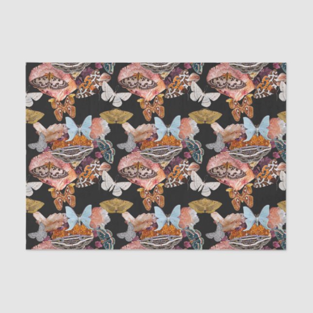 Moth Cotillion | Papel de tejidos de cocción de Go (Anverso)