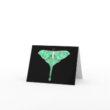 Moth Lunar Verde Ilustrado