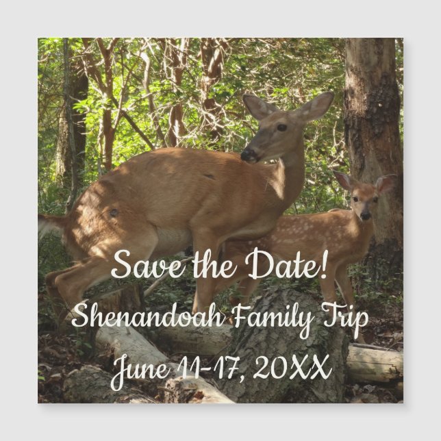 Mother and Baby Deer at Shenandoah National Park (Anverso)