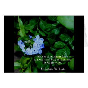 Motivación floral