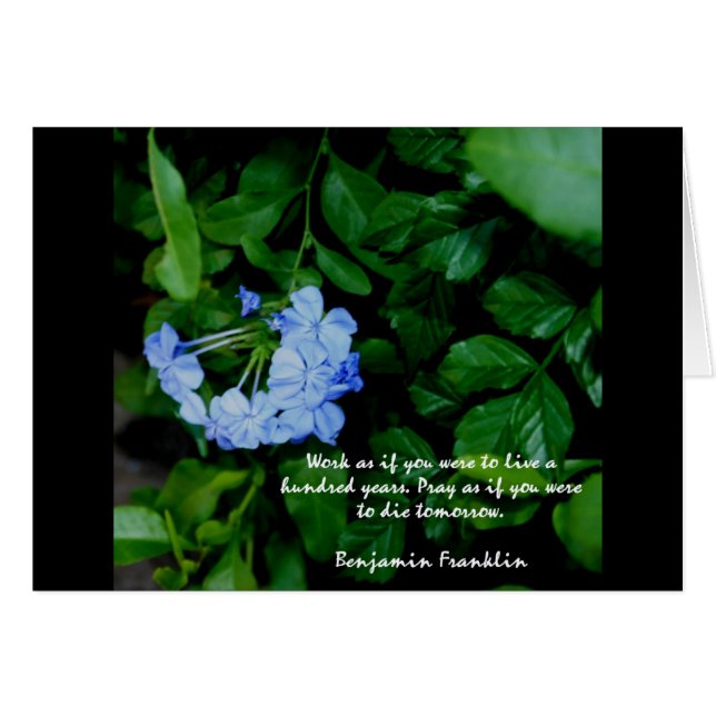 Motivación floral (Anverso (Horizontal))