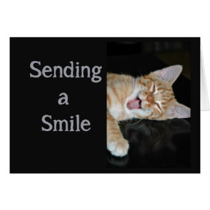 Motivadora se sonríe muy bien gato sonriente