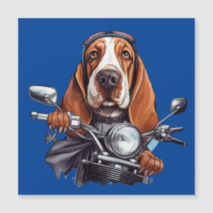 motociclista de perro de Guay, un lindo perrito de