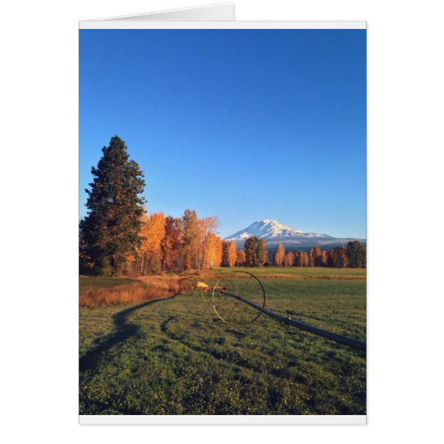 Mountain Marvel (Frente)