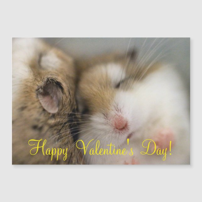 Mover sobre Bob (Anverso)