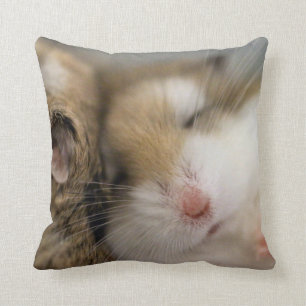 Mover sobre la almohada de Bob