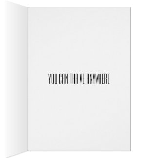 Moviéndose, cambiando empleos, cambiando carreras,