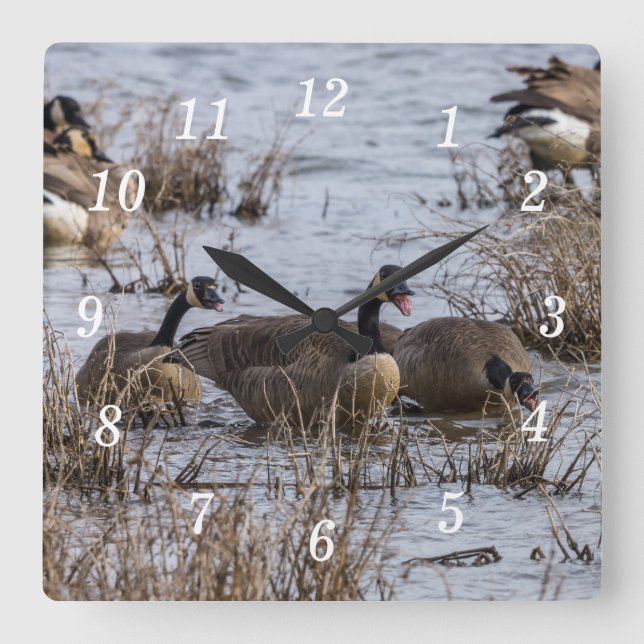 Moviéndose En El Reloj De Pared (Anverso)