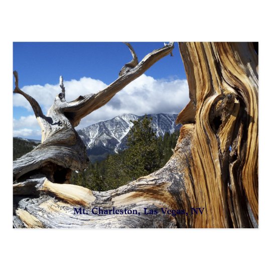 Mt. Charleston, Las Vegas, postal del nanovoltio
