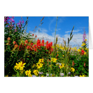 Mt. Flores silvestres