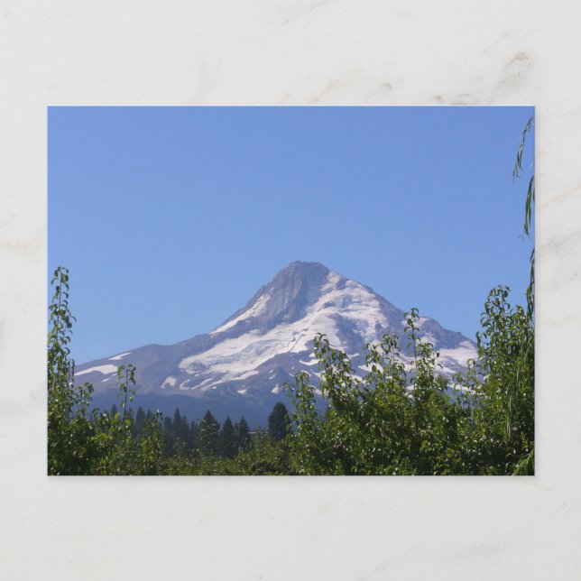 Mt Hood, Oregon en un día de agosto postal (Anverso)