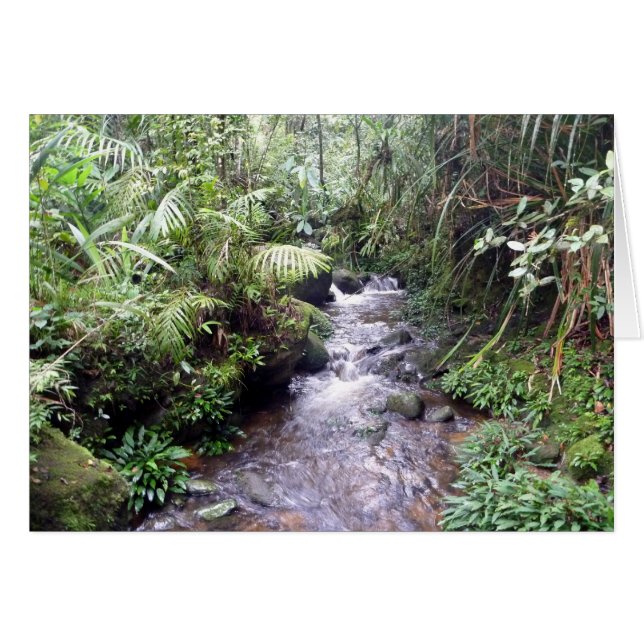 mt kinabalu creek (Anverso (Horizontal))