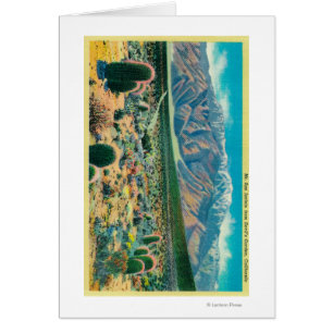 Mt. San Jacinto del jardín del diablo