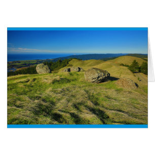 Mt. Tam