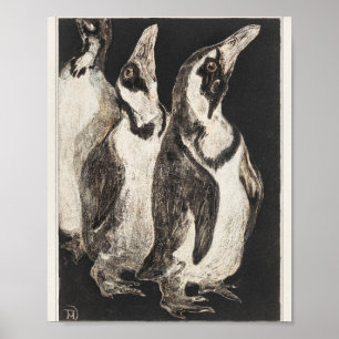Mtheo van hoytema - calendario - arte de garzas -