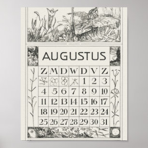 Mtheo van hoytema - calendario - arte de garzas -