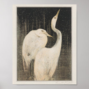Mtheo van hoytema - calendario - arte de garzas -