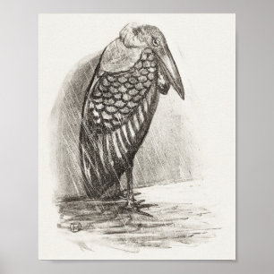 Mtheo van hoytema - calendario - arte de garzas - 