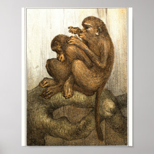 Mtheo van hoytema - calendario - arte de garzas -