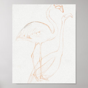 Mtheo van hoytema - calendario - arte de garzas -