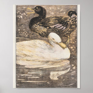 Mtheo van hoytema - calendario - arte de garzas - 