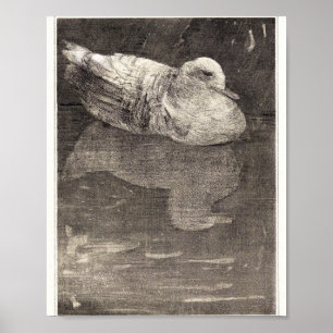 Mtheo van hoytema - calendario - arte de garzas - 