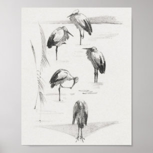 Mtheo van hoytema - calendario - arte de garzas - 