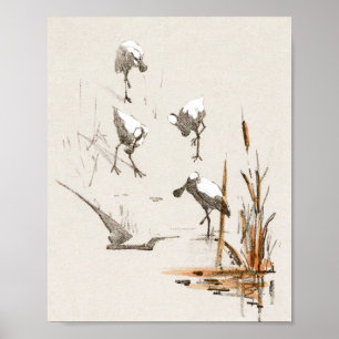 Mtheo van hoytema - calendario - arte de garzas - 