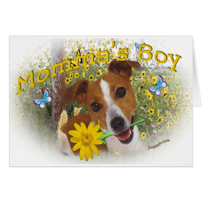 Muchacho de Jack Russell Momma (Anverso (Horizontal))