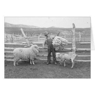 Muchacho que soporta un paquete de lanas