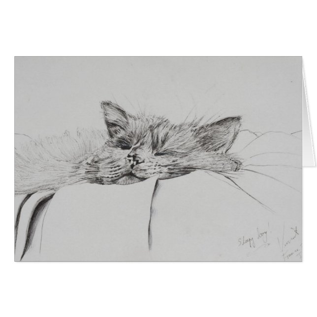 Muchacho soñoliento de Monty (Anverso (Horizontal))