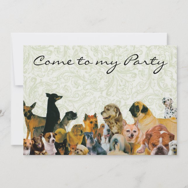 Muchas invitaciones a grupos de perros (Anverso)
